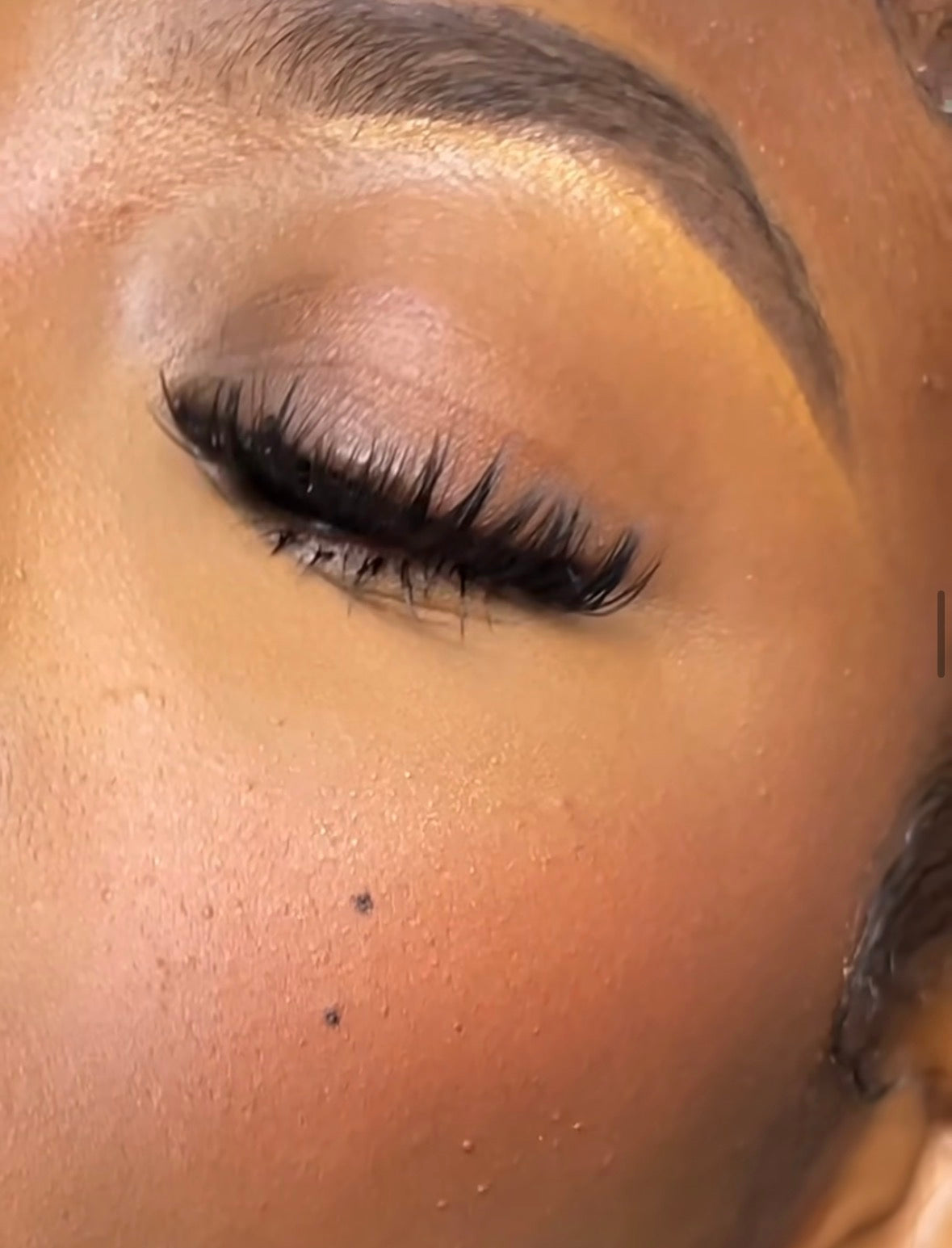 Lash Studio Pack